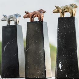 Toledo acogerá, por primera vez, la celebración de los porc D’OR, foto estatuillas porc D’OR