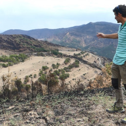 INTIA lanza una campaña para poner en valor el papel de la ganadería extensiva en el control de incendios, foto incendio campo