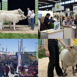 Las expectativas de 100.000 visitantes alcanzadas y superadas en SOMMET de L´élevage