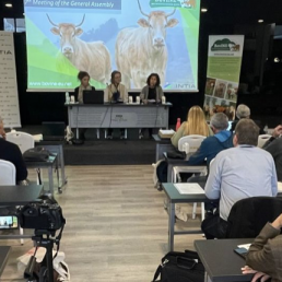 BovINE muestra en Navarra soluciones innovadoras para que el sector vacuno de carne sea más sostenible
