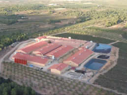 Una granja de ICPOR nominada al premio especial del MAPA a la sanidad, bienestar animal y medioambiente en los Porc d’Or