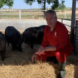 Opinión de Antonio Palomo: CADENA ALIMENTARIA, foto antonio palomo Yague