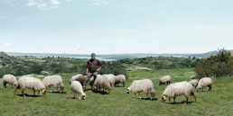 INTEROVIC busca pastores reales para protagonizar su próximo spot publicitario, foto pastor con ovejas