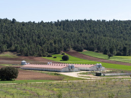 Incarlopsa participa en su primer proyecto de investigación de ámbito europeo para reforzar la bioseguridad en las granjas