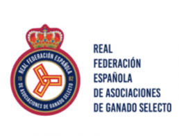 ICEX y RFEAGAS se alían para la promoción internacional del sector mediante la organización de misiones inversas