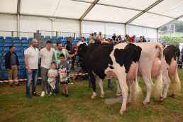 Cantabria.-Llinde Wally Golddust, de la ganadería SAT de Ceceño, Gran Campeona y Mejor Ubre del Concurso Frisón de Renedo