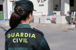 Cinco detenidos tras desmantelar matadero ilegal en una explotación ganadera en Álora