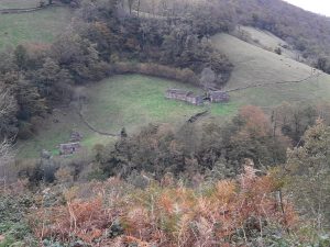 Aparecen muertas más de 30 vacas encerradas en una cabaña de San Roque de Riomiera