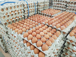 El Ministerio de Agricultura, Pesca y Alimentación aprueba la nueva extensión de norma del huevo y sus productos