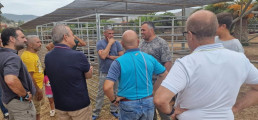 La Casa del Ganadero y el Matadero de Tenerife albergan más de 3.400 animales de fincas agrícolas