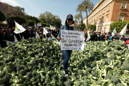 Agricultores y ganaderos de toda España protestarán en Córdoba por los ataques que recibe el sector