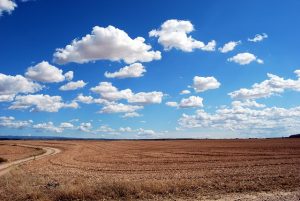 Asaja urge a Agricultura a convocar las ayudas a la incorporación y pide más diálogo y más interlocución