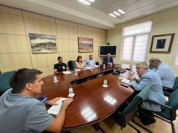 La DPT pide a Samper un plan de reestructuración para los agricultores de Mazaleón afectados por la Sharka