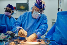 Estados Unidos documenta el caso más largo de funcionamiento de un riñón de cerdo en un cuerpo humano