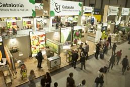 38 empresas catalanas hortofrutícolas participarán en la Fruit Attraction 2023 en Madrid