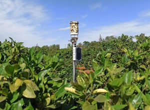Un proyecto liderado por Magtel ayudará a los agricultores de cultivos leñosos a la gestión inteligente del riego