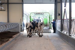 Agricultura convoca ayudas por valor de 772.000 euros para inversiones en bioseguridad de transporte de ganado y viveros