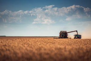 La Junta abona más de 15 millones de la PAC y más de 7 millones de las ayudas por la sequía al cultivo del cereal