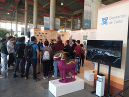 Unas 11.400 personas visitan la Feria Nacional de Ganadería y Agricultura en una edición de récord