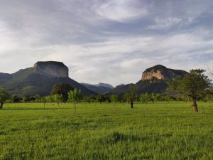 El Fogaiba abona 7,8 millones de euros del primer pago del anticipo de la ayudas de la Política Agraria Común 2023