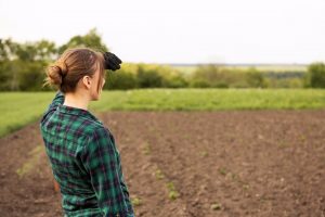 El Gobierno de Canarias concede subvenciones por 2,4 millones a 45 agricultores jóvenes