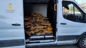 Dos detenidos por robar más de 700 piezas de ibéricos valoradas en 200.000 euros en Córdoba