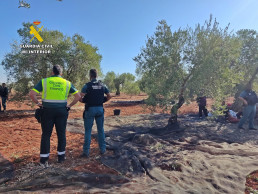 Dos investigados por tener a 14 trabajadores sin contrato en una explotación agrícola en Fuente del Maestre