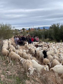La Diputación destinará 240.000 euros a la concesión de nuevas ayudas a ganaderos trashumantes