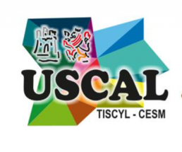 La Dirección General de Producción Agrícola y Ganadera agravia de nuevo la Sanidad Animal en Castilla y León