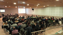 Catalunya sustituye el uso aéreo de insecticidas en arroz y olivo por técnicas sostenibles