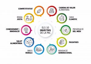 El Govern abona 136 millones en ayudas de la PAC disociadas de la renta en el "primer día"