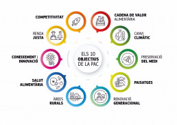 El Govern abona 136 millones en ayudas de la PAC disociadas de la renta en el 