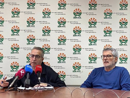 UPA-UCE pide a la industria que pague más por el tomate a los agricultores para poder cubrir el incremento de los costes