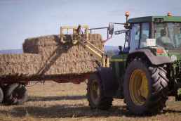 Bruselas adopta nuevas normas antimonopolio para acuerdos de sostenibilidad en la agricultura