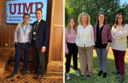 Identifican un gen que mejora la calidad nutricional del trigo duro y contribuye a preservar el color amarillo del grano