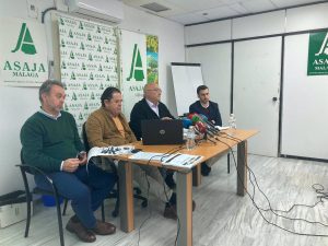 Asaja alerta de la "estrepitosa caída" de la facturación de la agricultura a niveles de hace diez años