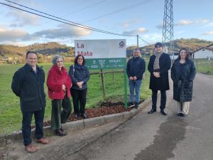 El Serida desarrolla una aplicación de móvil y web para identificar castaños resistentes a la plaga de la avispilla