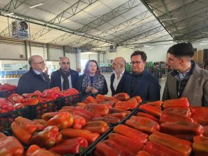 La Junta de Andalucía valora la "vocación exportadora e innovadora" del sector hortofrutícola pese a la situación de sequía