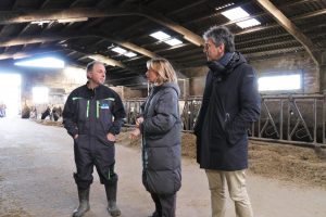 Diputación eleva a 1,1 millones de euros las ayudas al sector ganadero de Gipuzkoa para aliviar el impacto de la EHE