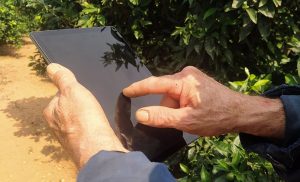 El Gobierno amplía los plazos para la entrada en vigor del cuaderno digital de explotación