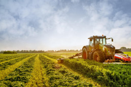 El Gobierno modifica diversos reales decretos para clarificar la aplicación de la Política Agraria Común