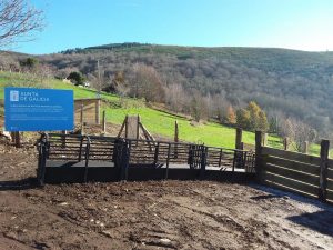 Concluyen los trabajos de acondicionamiento para la actividad agroganadera en la aldea modelo de Bustelo de Fisteus