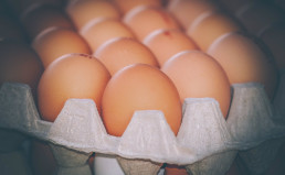 El Gobierno de Canarias destina 315.000 euros de ayudas del POSEI a la producción local de huevos de gallina