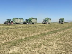 Medio millar de expertos se reunirá el 8 de febrero en Valladolid en la III Jornada Española del Cultivo de Alfalfa