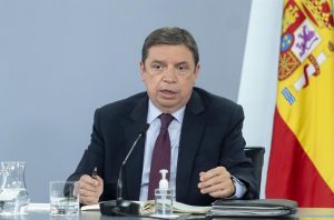 Planas pide "equilibrio" entre apoyo a importaciones de Ucrania y protección del sector agrícola UE