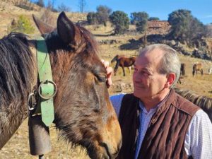 Aguirre: "La ganadería extensiva y la trashumancia tienen un impacto positivo sobre el territorio"