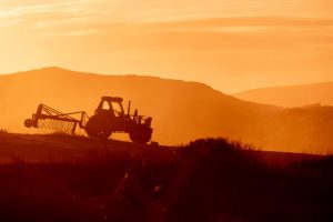 Castilla-La Mancha demanda al Ministerio de Agricultura mejoras en la aplicación de la nueva PAC en la región