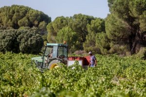 Cuatro candidaturas concurrirán a las elecciones a la Cámara Agraria de la Comunidad el 28 de febrero