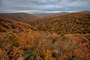 El Gobierno destina casi 6.000 euros a 12 explotaciones agrarias de Cantabria por la sequía y por la guerra de Ucrania