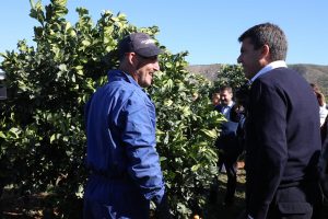 Mazón viajará a Fruit Logística Berlín para promocionar y defender al sector hortofrutícola de la Comunitat